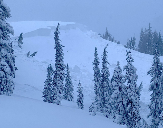 Little Truckee Summit Tahoe avalanche, forest service