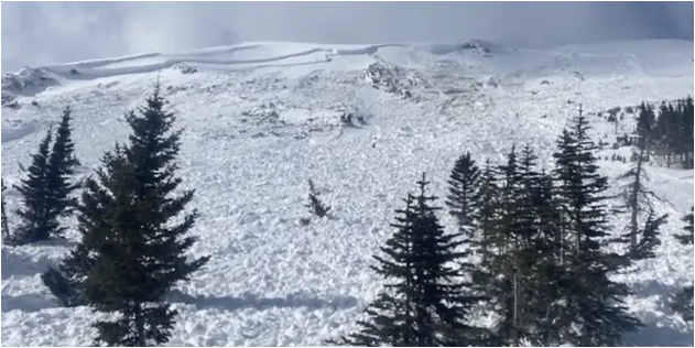 Site where a dog presumed dead in an avalanche was initially buried. It was found later.