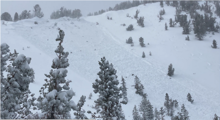 Sierra Avalanche forecasters triggered an avalanche on Tamarack Peak but escaped any consequences according to the Forest Service run center.