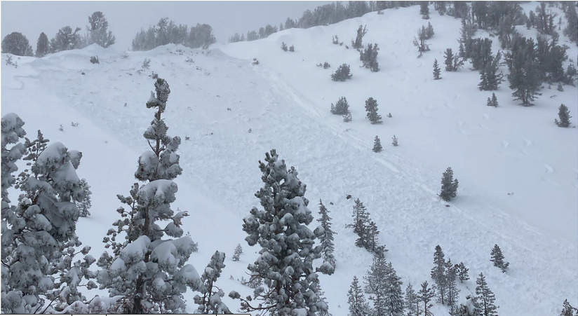 Sierra Avalanche forecasters triggered an avalanche on Tamarack Peak but escape any consequences according to the Forest Service run center.