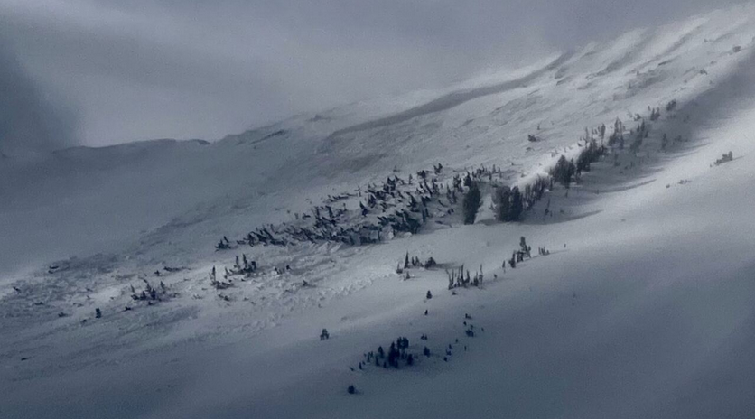 Avalanche forecasters trigger an avalanche