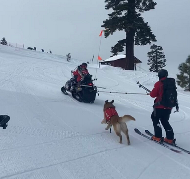 Above average Sierra snowpack prompts avalanche awareness